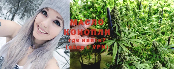 дмт Арсеньев