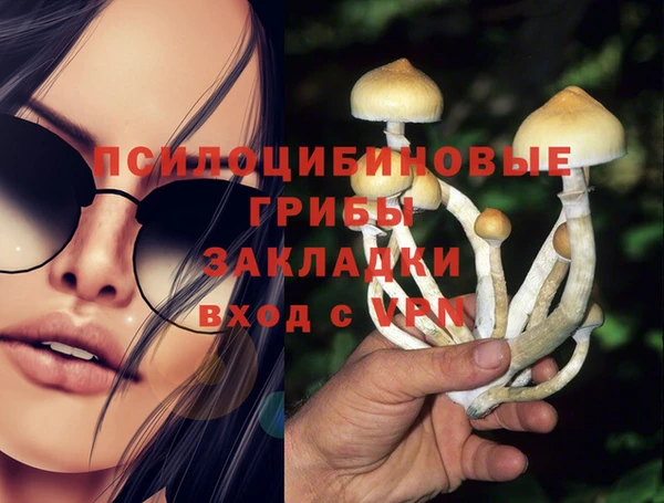ALPHA PVP Алзамай