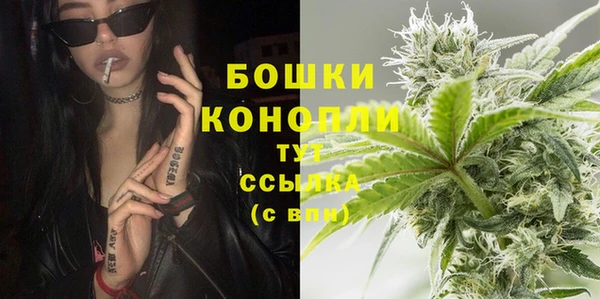 дмт Арсеньев