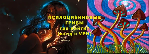 дмт Арсеньев