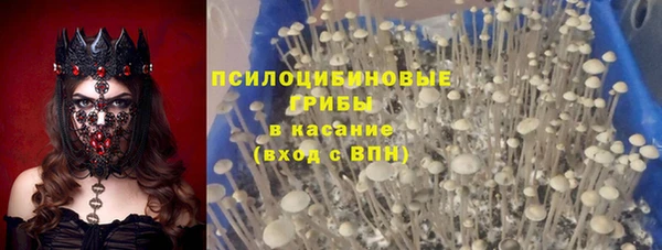 дмт Арсеньев